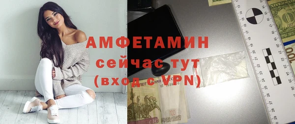 СК Алексин