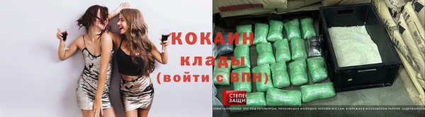 СК Алексин