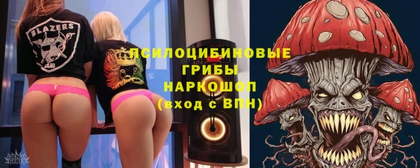 эйфоретик Алзамай