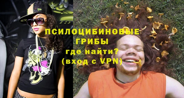 эйфоретик Алзамай