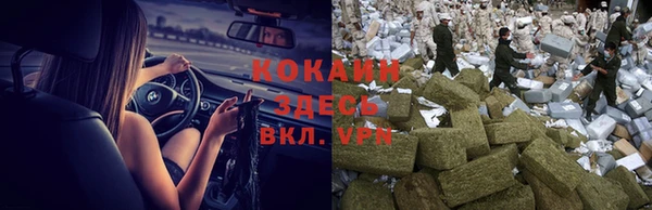 СК Алексин